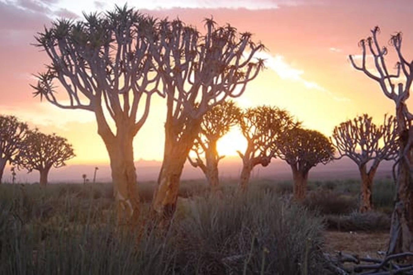 Gondwana Canyon Park, Namibie