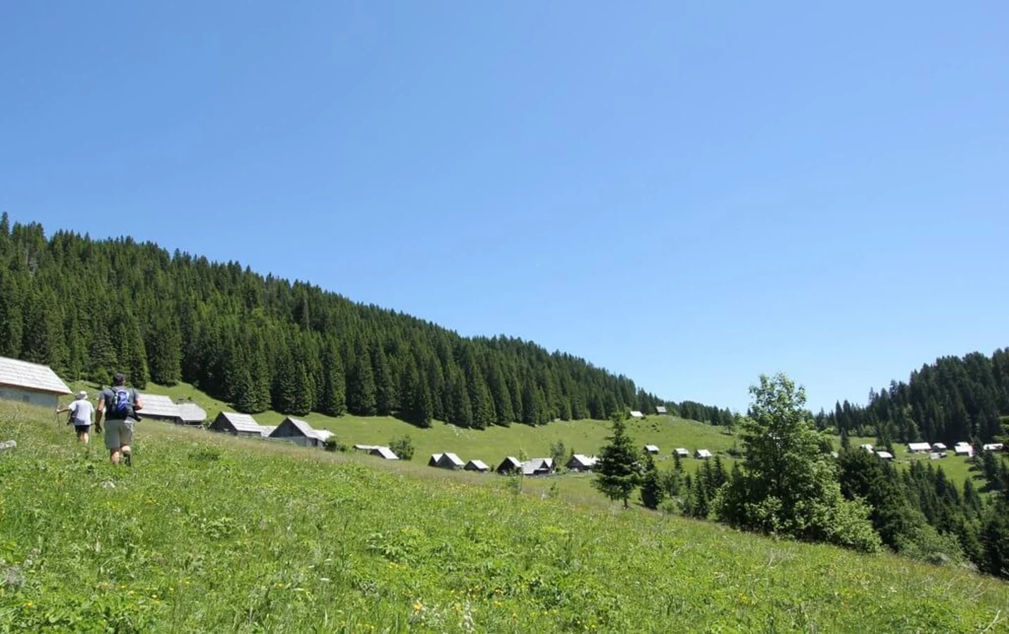 Zajamniki, Slovénie