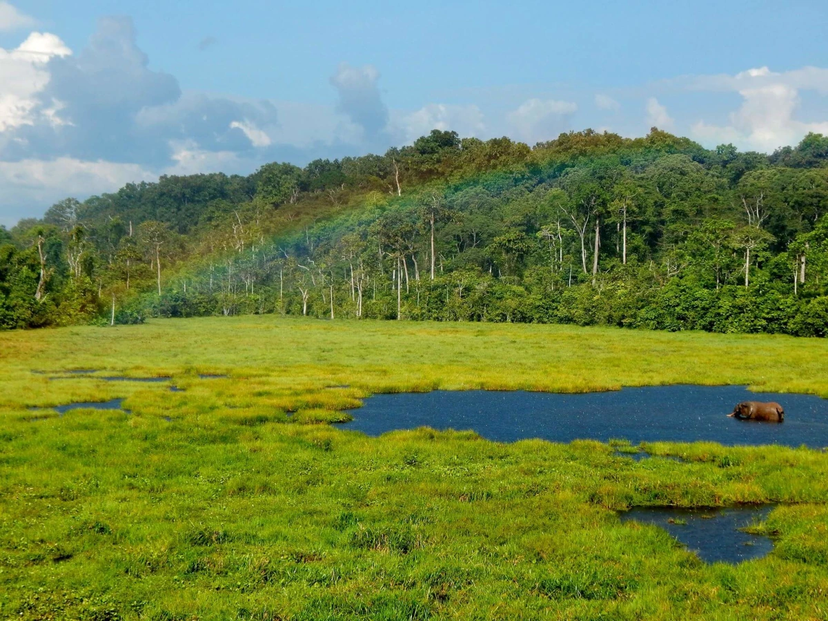 Mbeli Bai, République du Congo