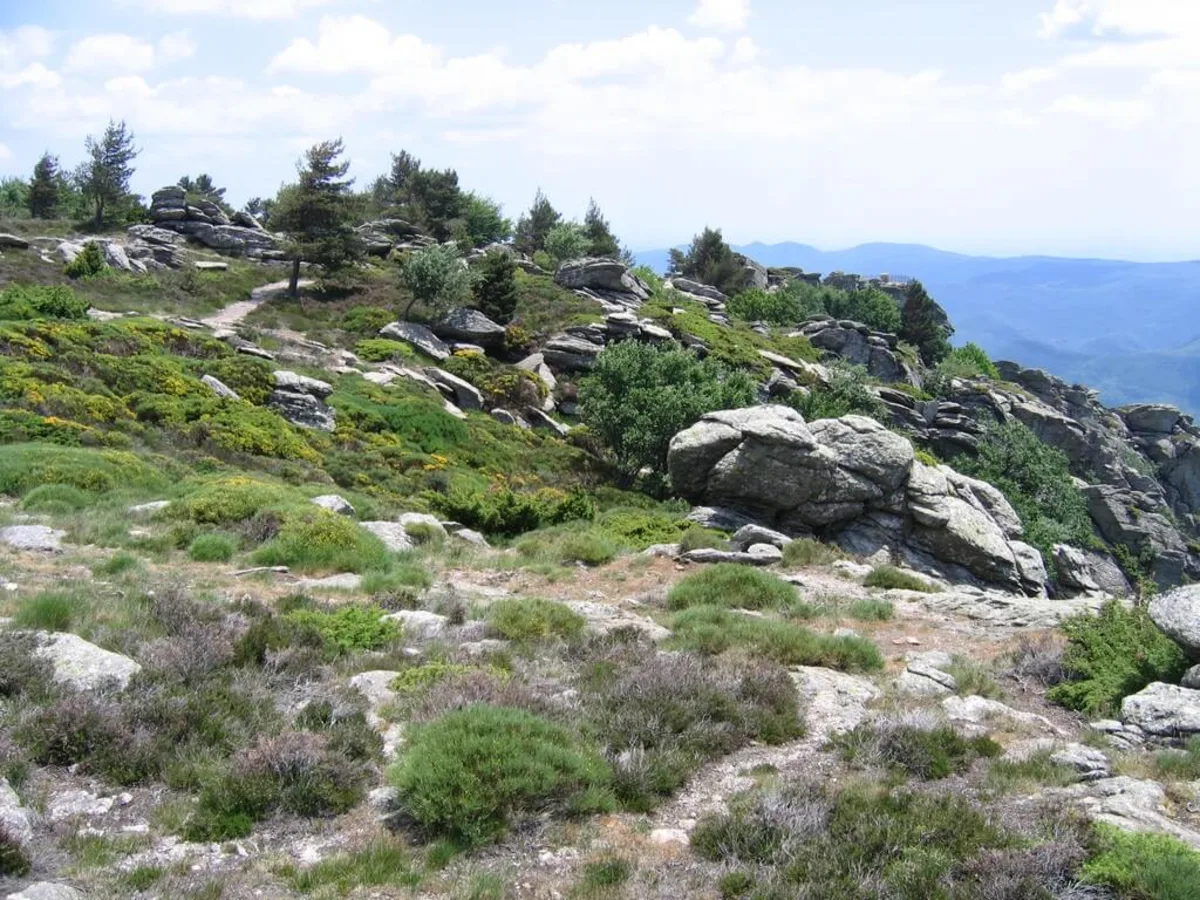 Mont Caroux, France