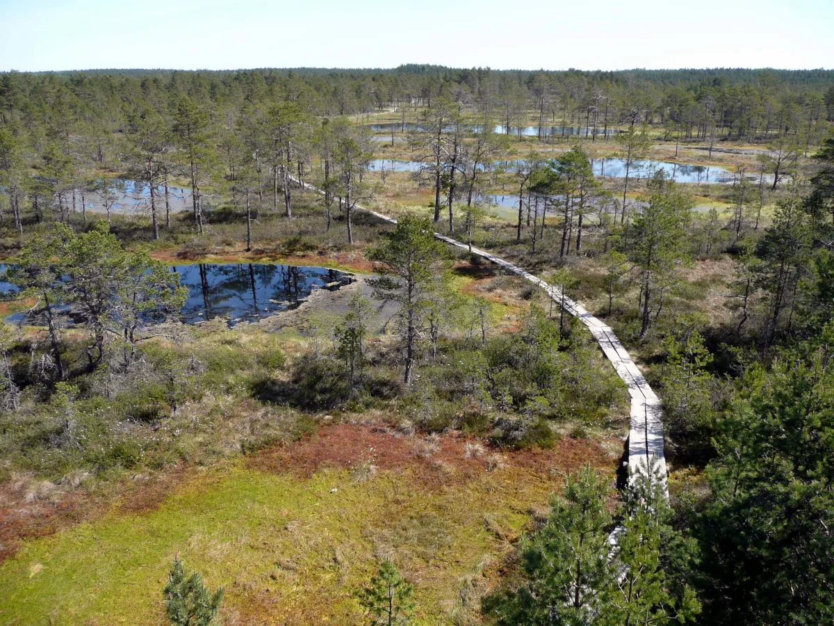Parc national de Lahemaa, Estonie