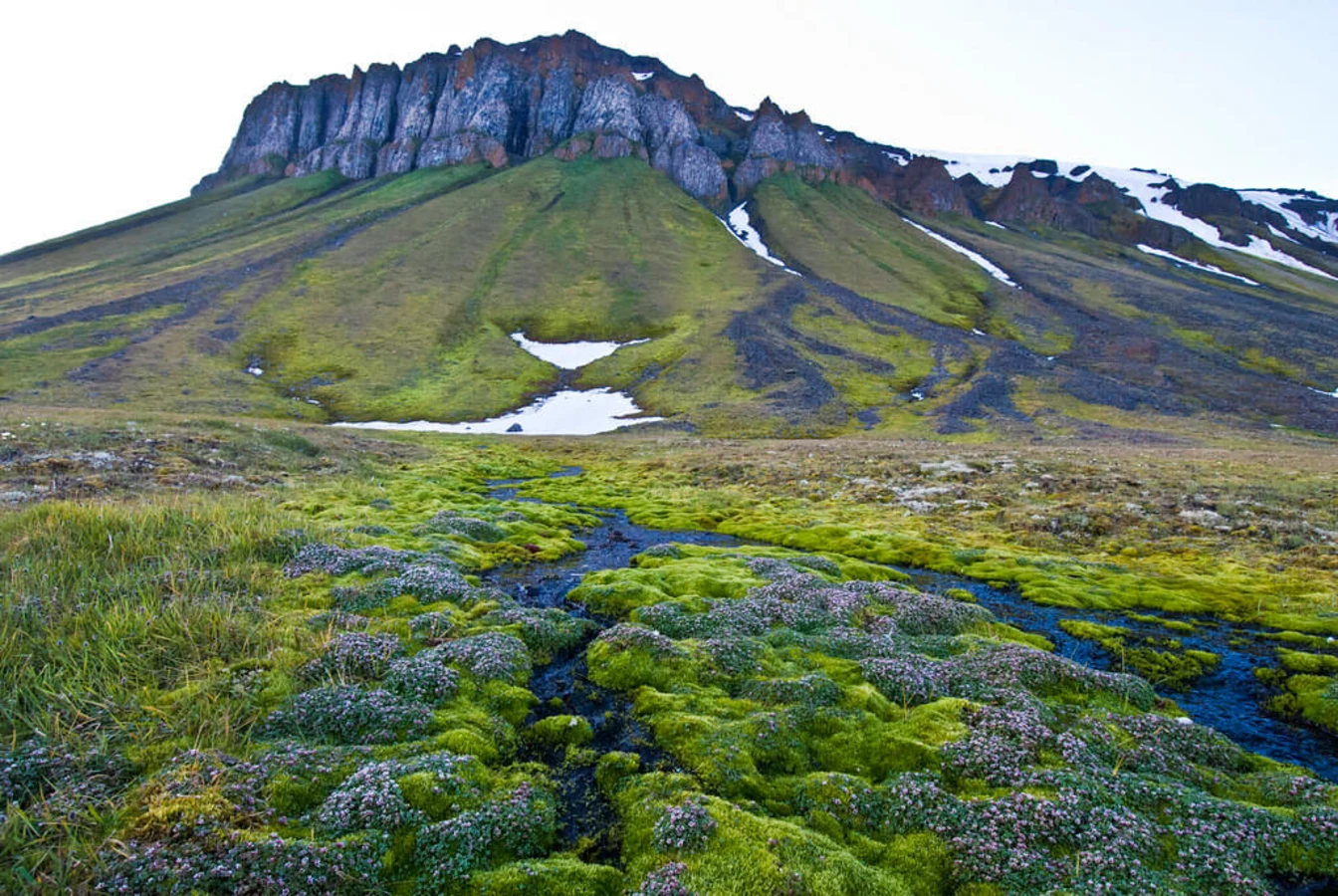 Parc national de l'Arctique russe, Terre François-Joseph