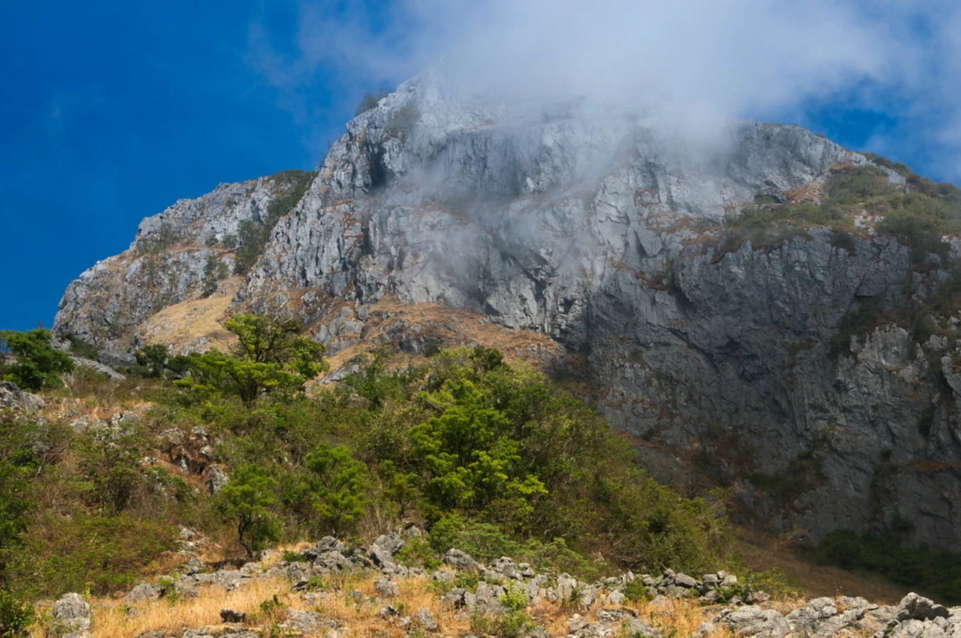Matebian, Timor Oriental