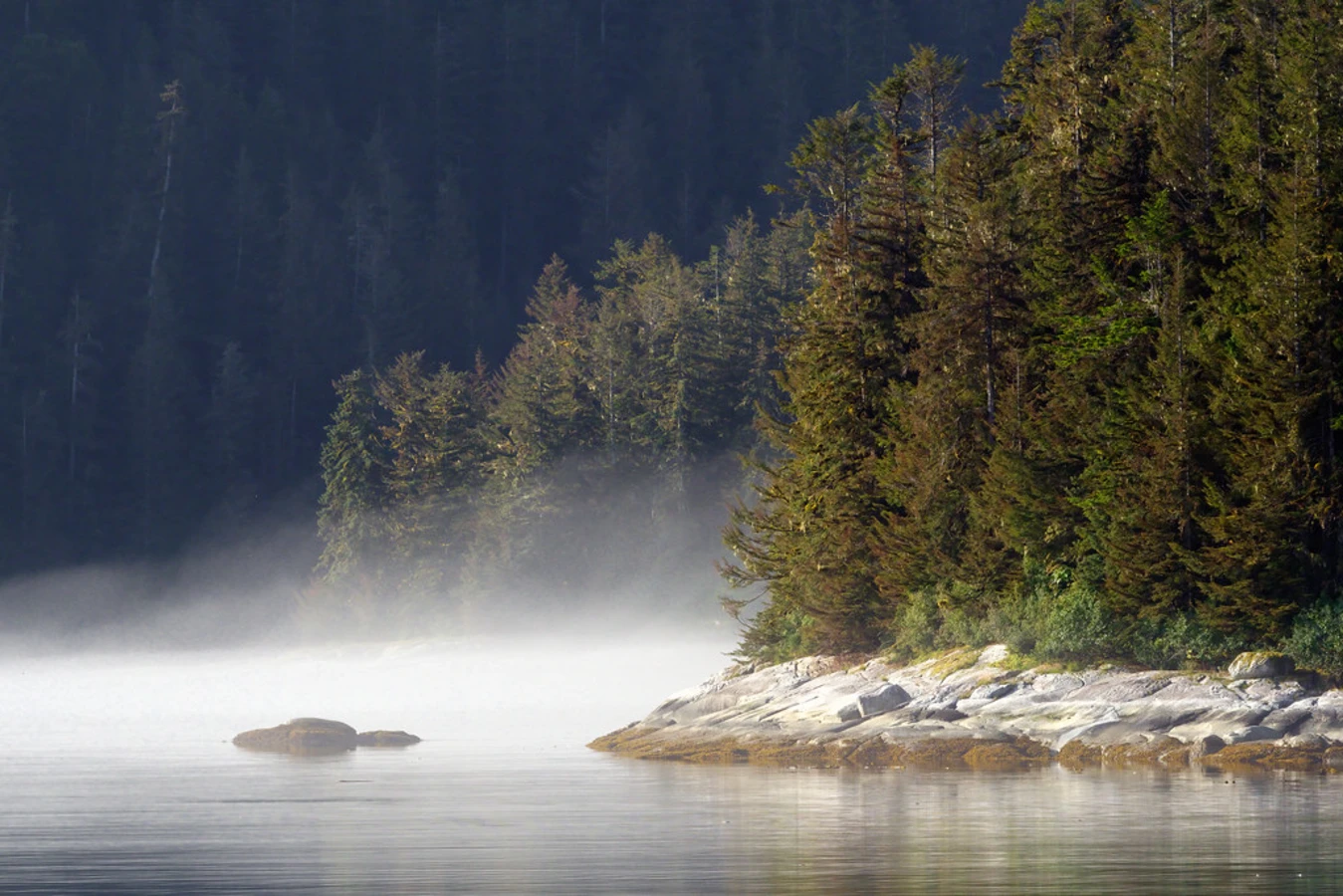 Forêt nationale de Tongass, États-Unis