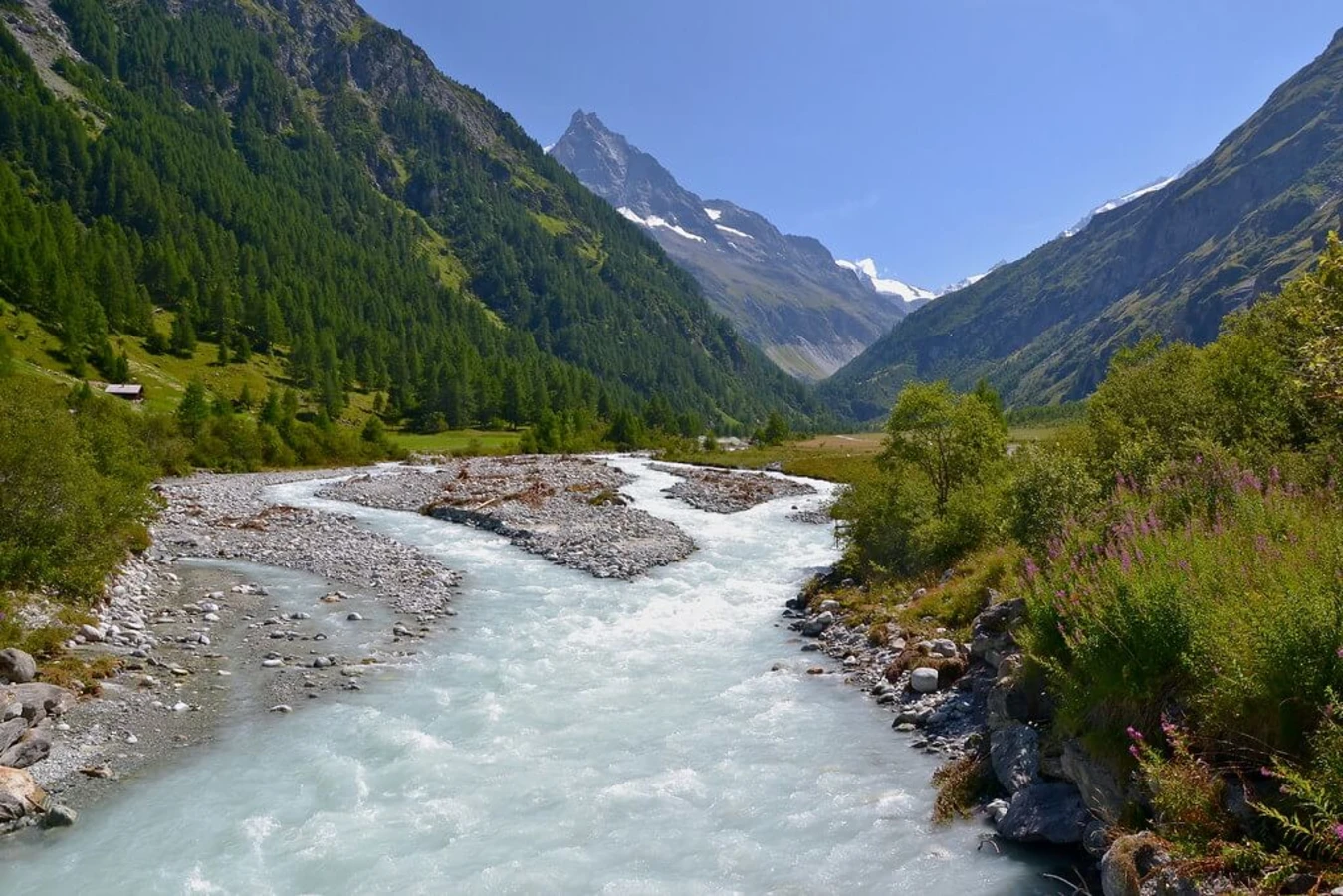 Couronne Impériale Zinal, Suisse