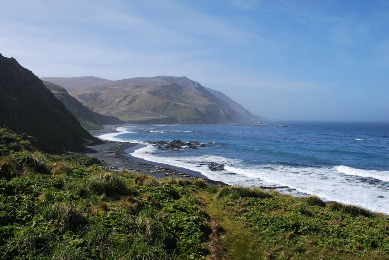 Île Macquarie, Australie, Tasmanie