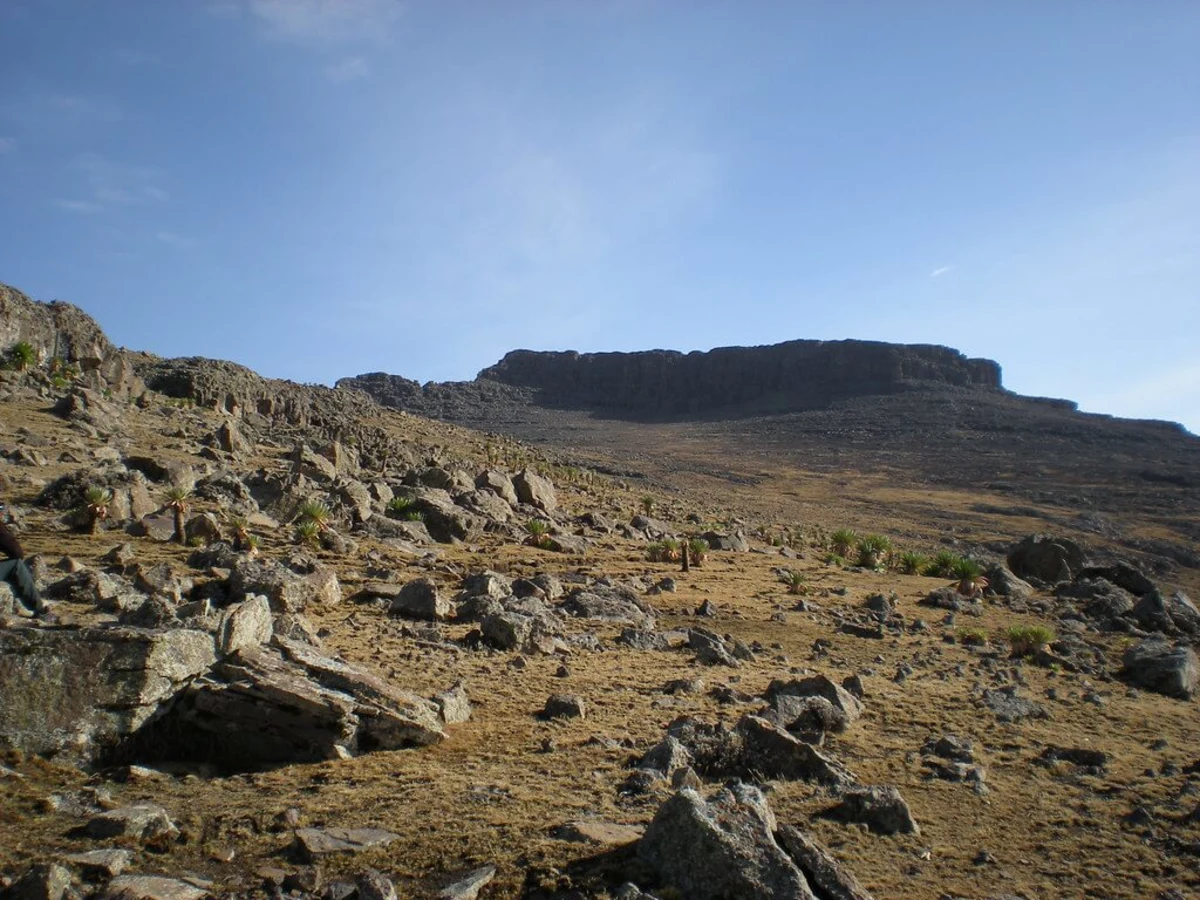Ras Dashan, Éthiopie