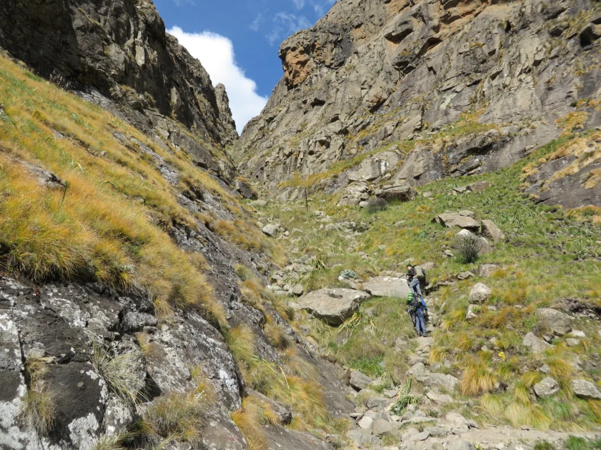 Beacon buttress, Afrique du Sud, Afrique du Sud
