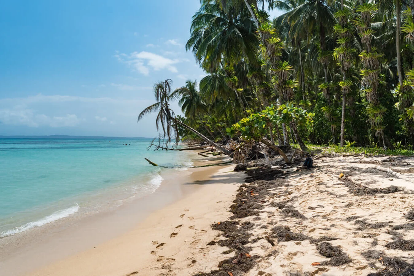 Cayos Zapatilla, Panama