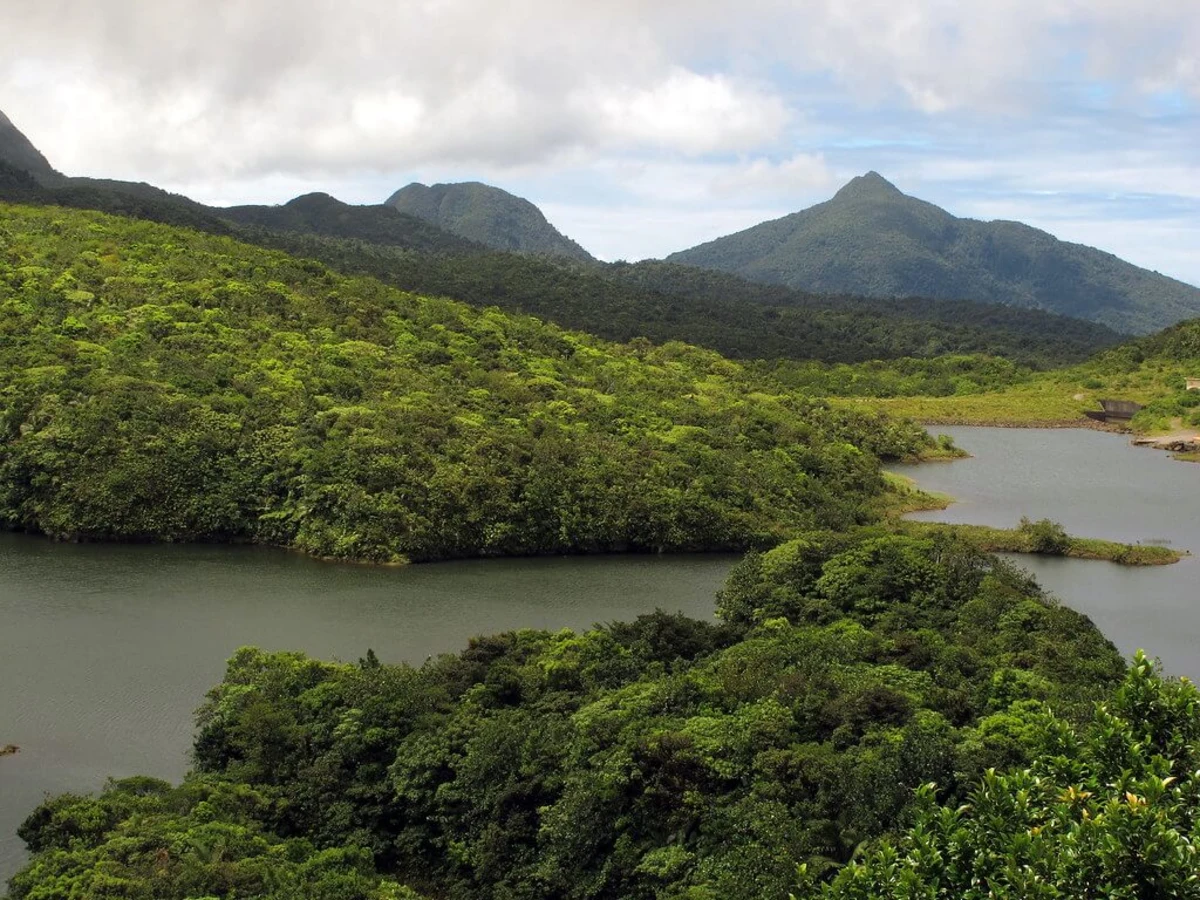 Freshwater Lake, Dominique