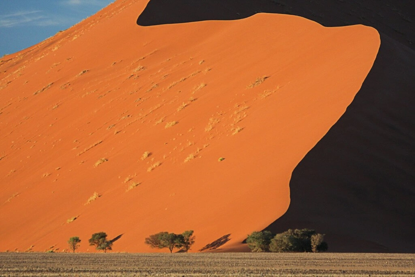 Parc national de Namib-Naukluft, Namibie