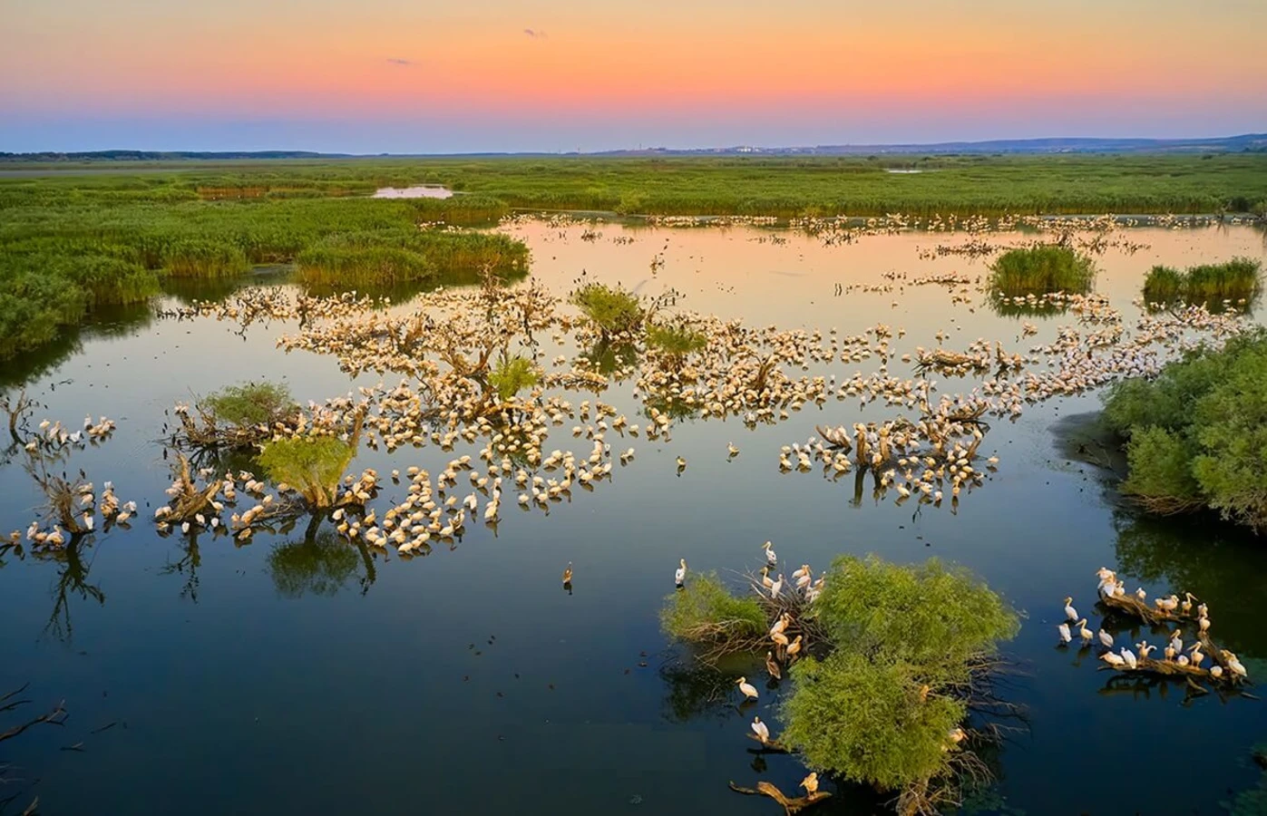 Réserve de biosphère du delta du Danube, Roumanie, Ukraine
