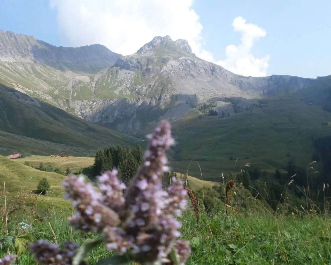 La Miaz, France