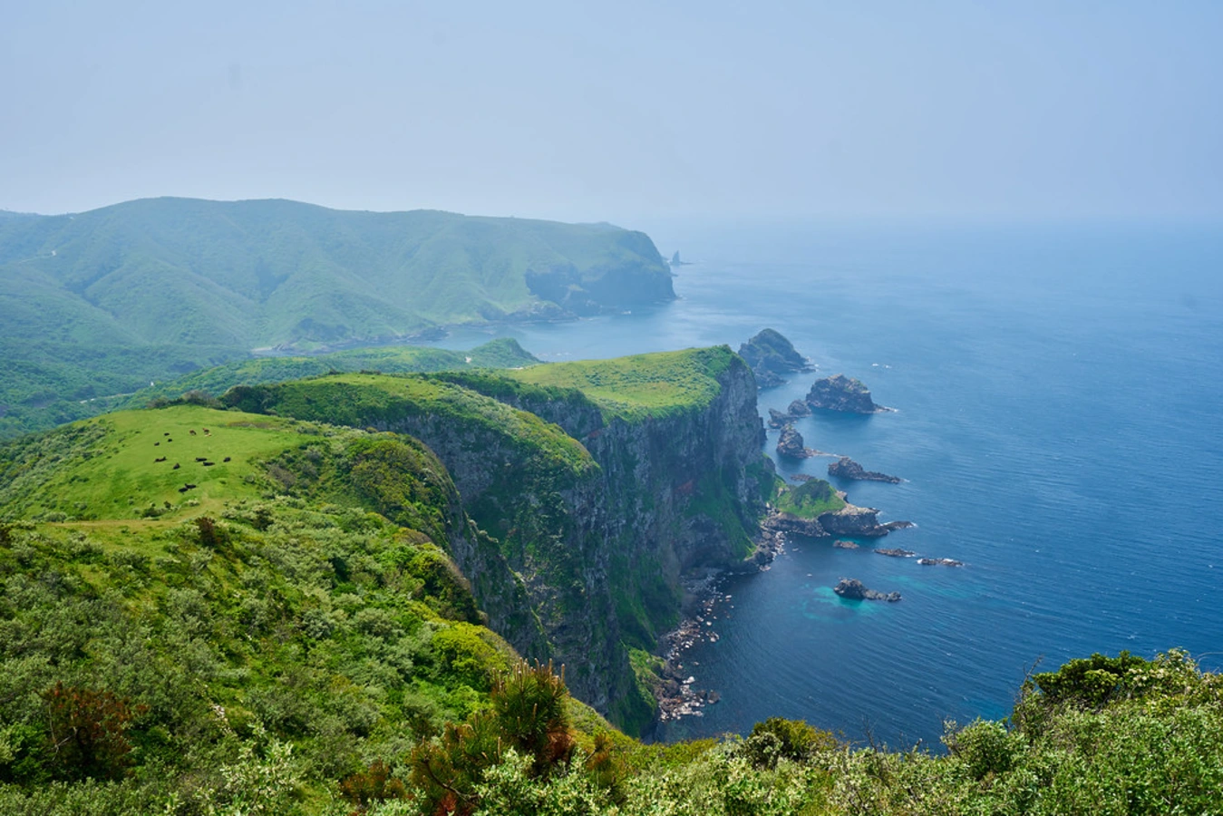 Parc national de Daisen-Oki, Japon