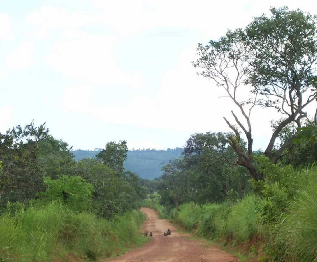 Parc national de Ruvubu, Burundi, Burundi, Burundi, Burundi