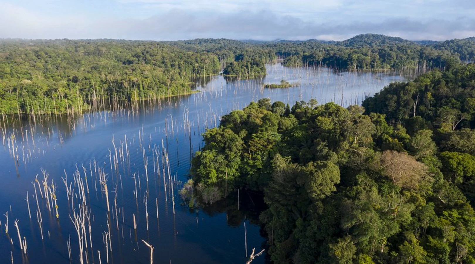 Lac de Petit-Saut, Guyane française