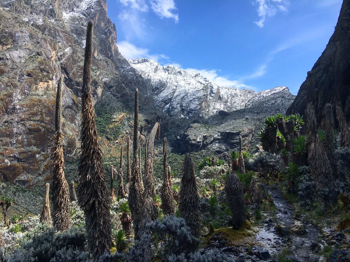 Scott Eliot Pass, Ouganda