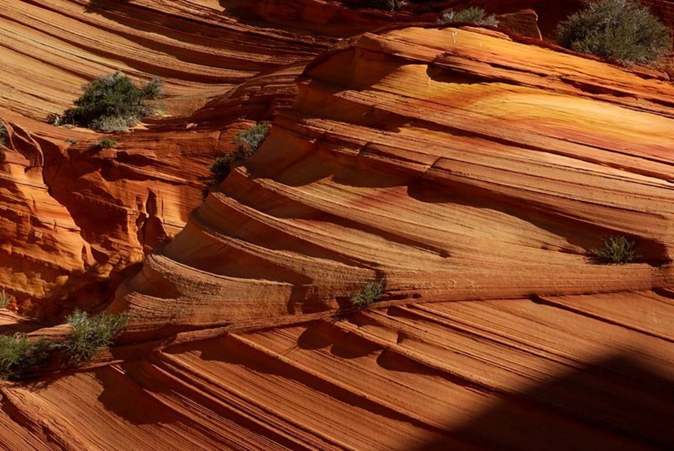 Buttes Coyote, États-Unis