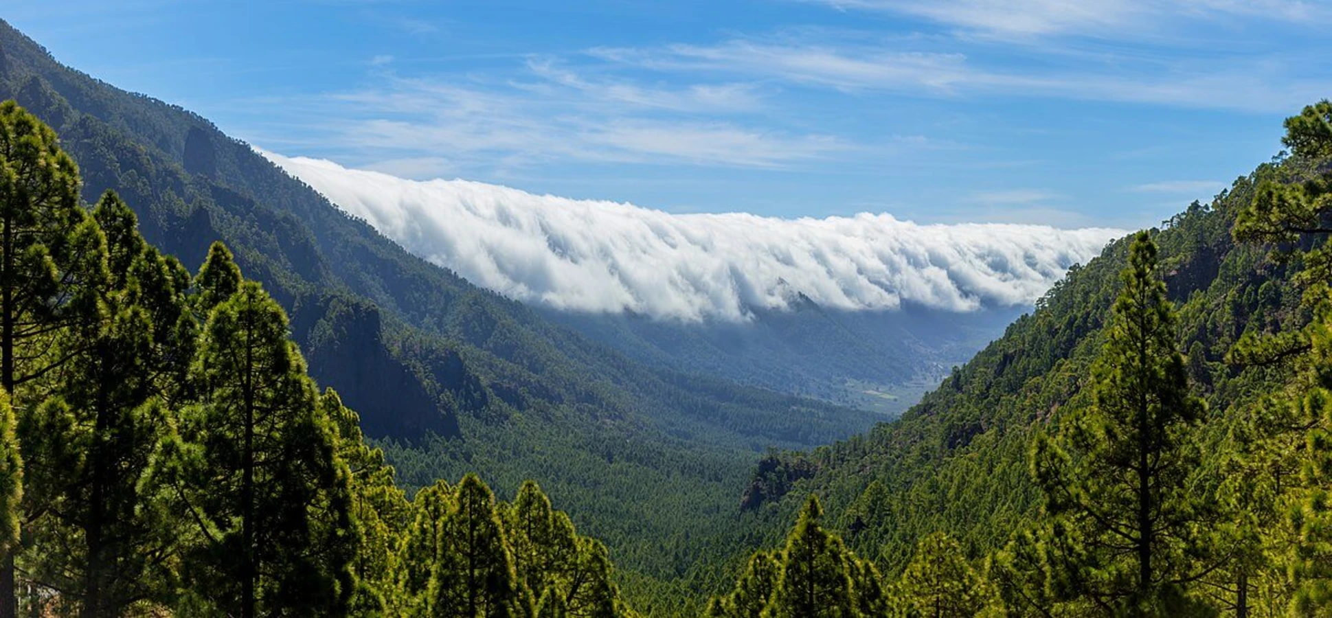 Parc national de la Caldeira de Taburiente, Espagne, Canaries