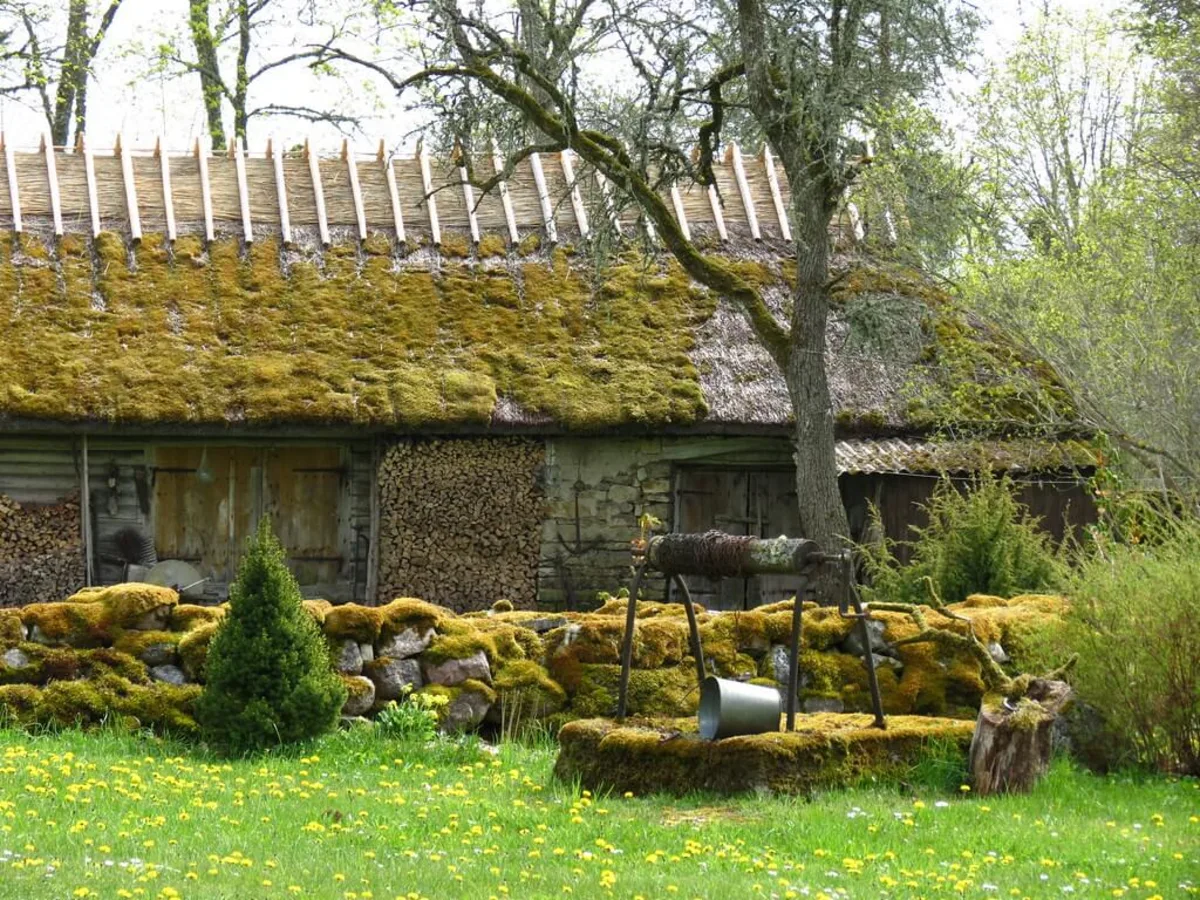 Koguva, Estonie