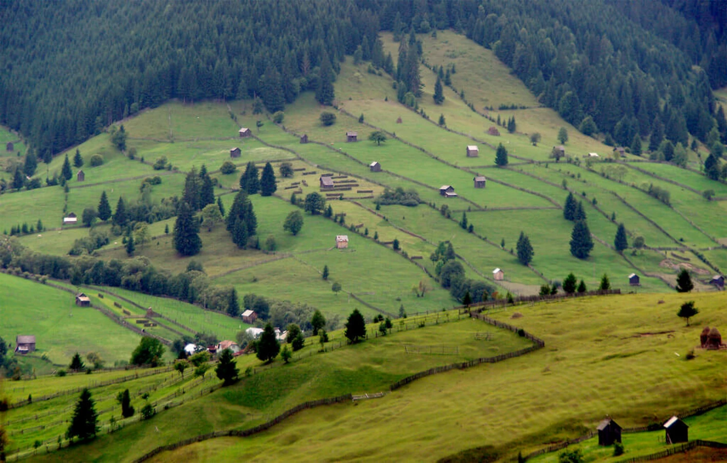 Bucovine, Roumanie