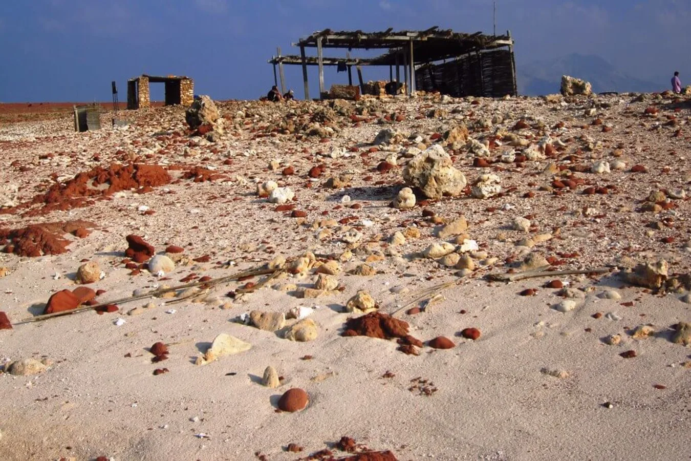 Dihamri Campsite, Yémen, Socotra