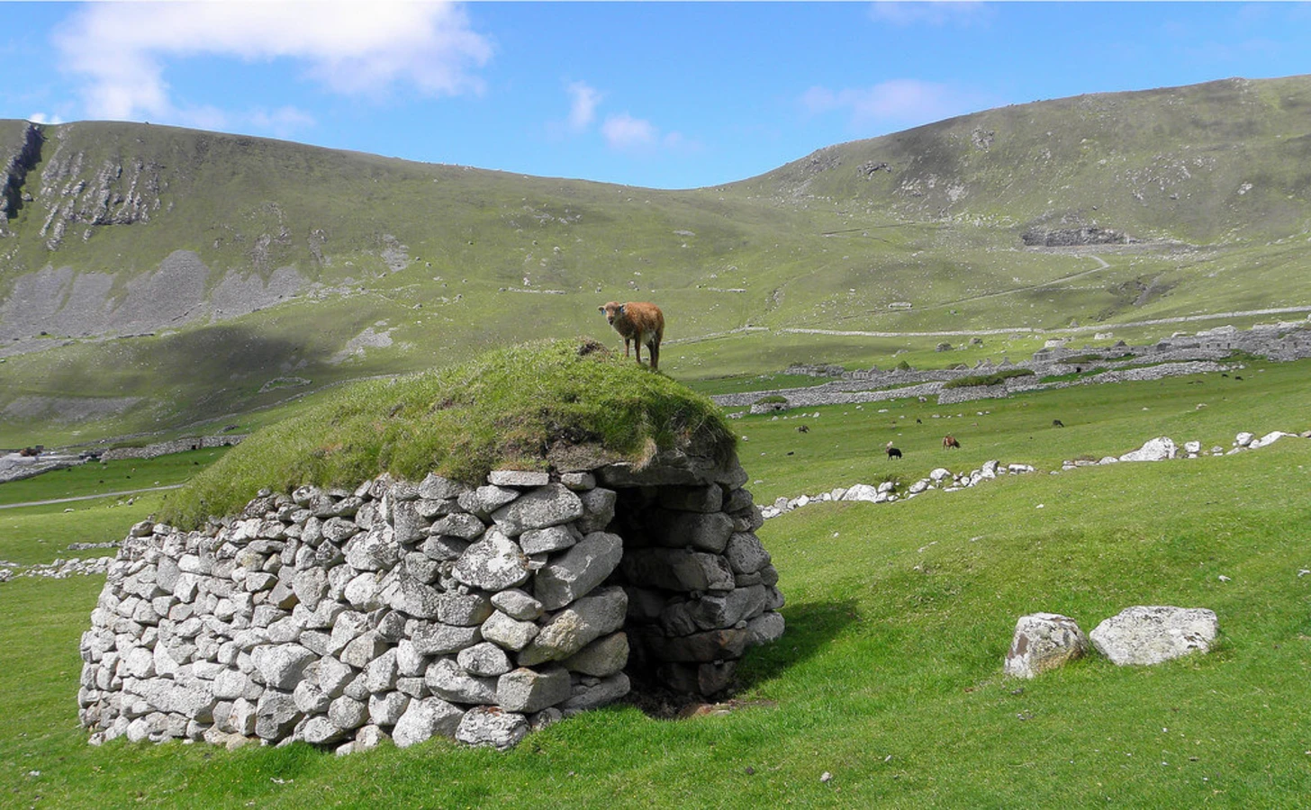 Soay, Écosse