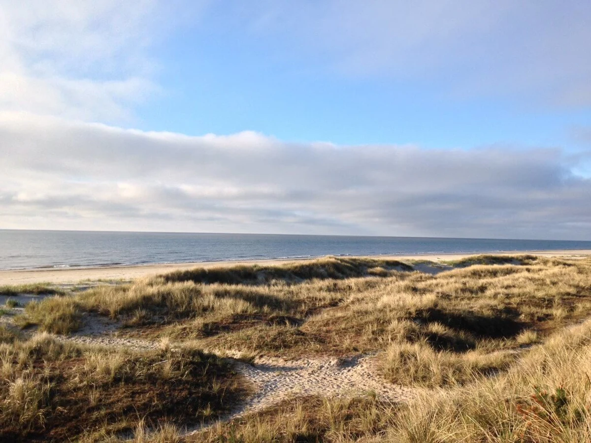 Sandhammaren, Suède