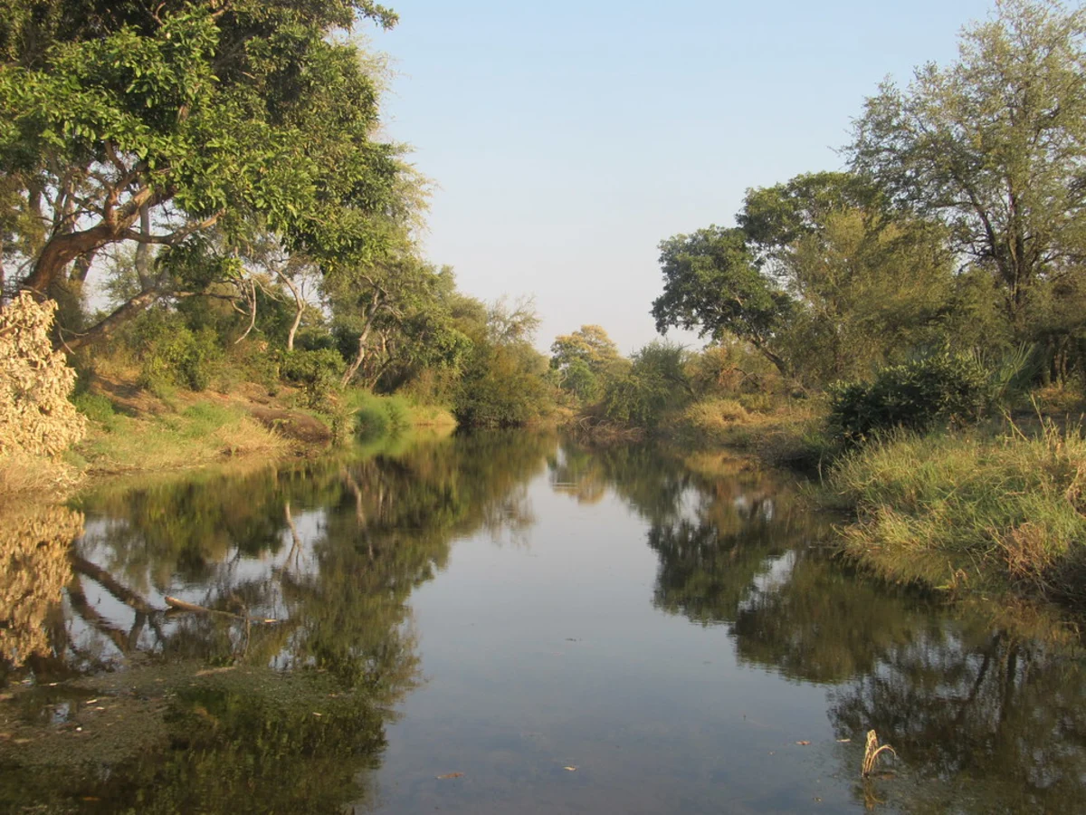 Parc national Wilderness, Afrique du Sud