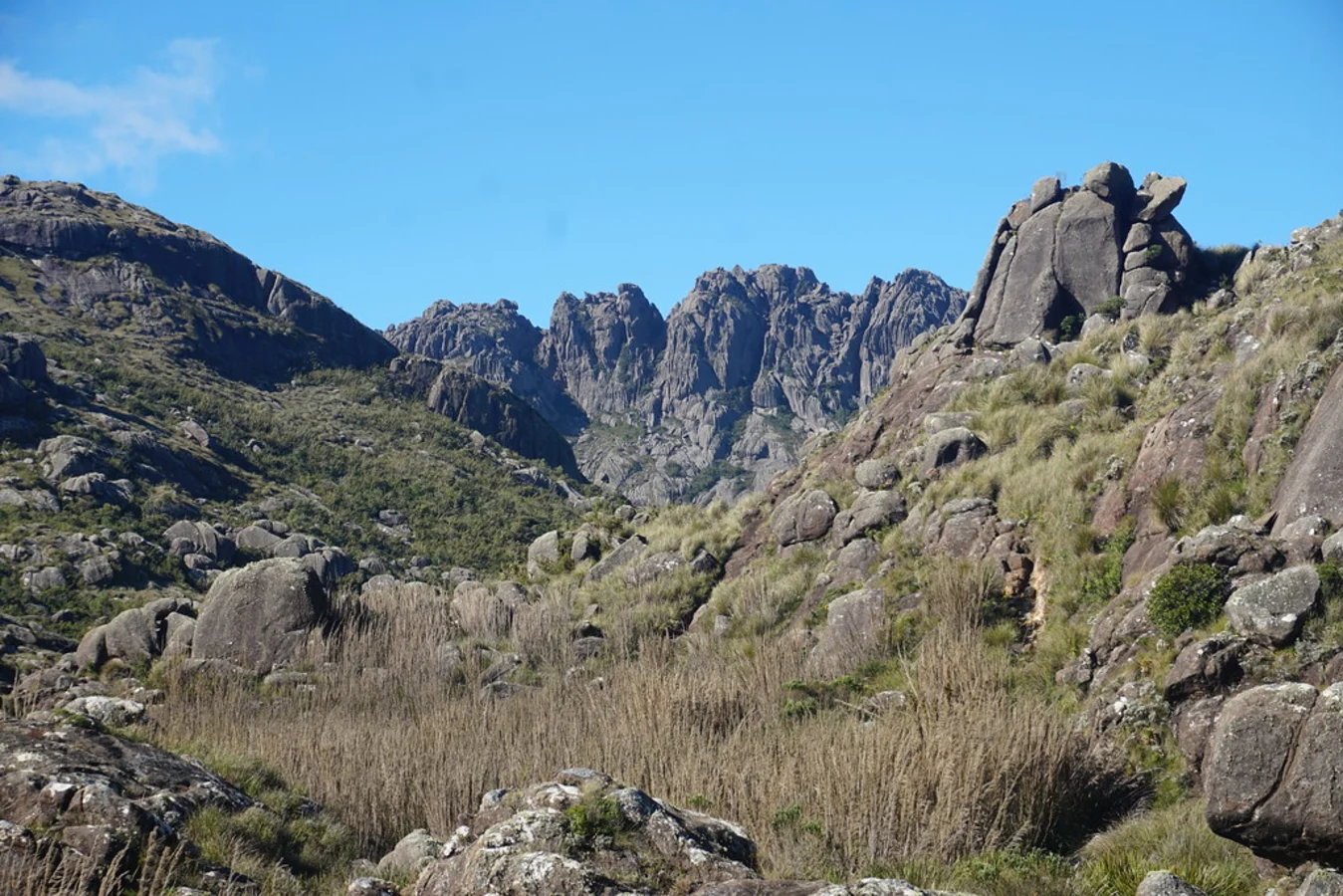 Parc National Agulhas, Afrique du Sud