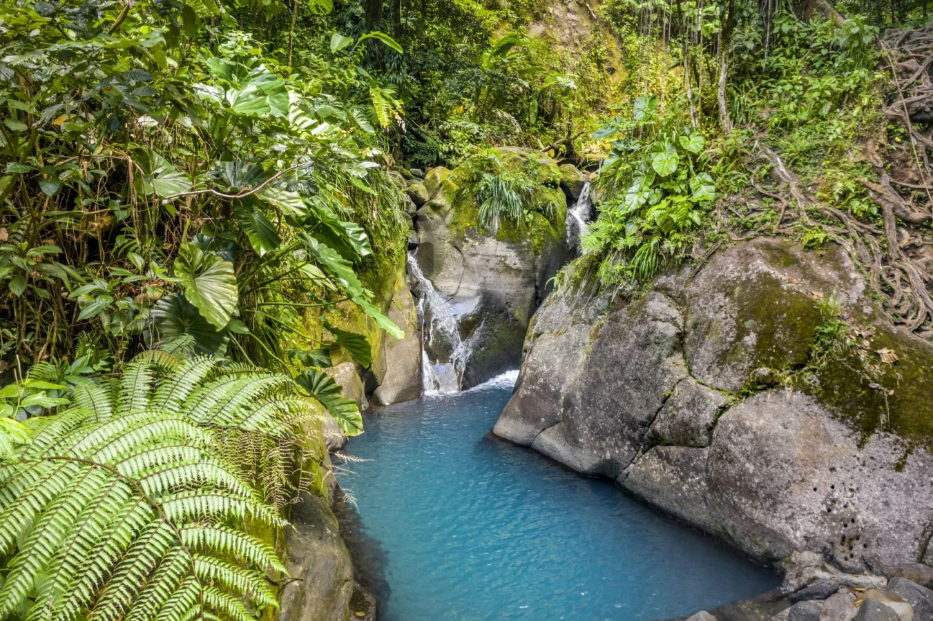 Cascades du Bassin Bleu, Guadeloupe