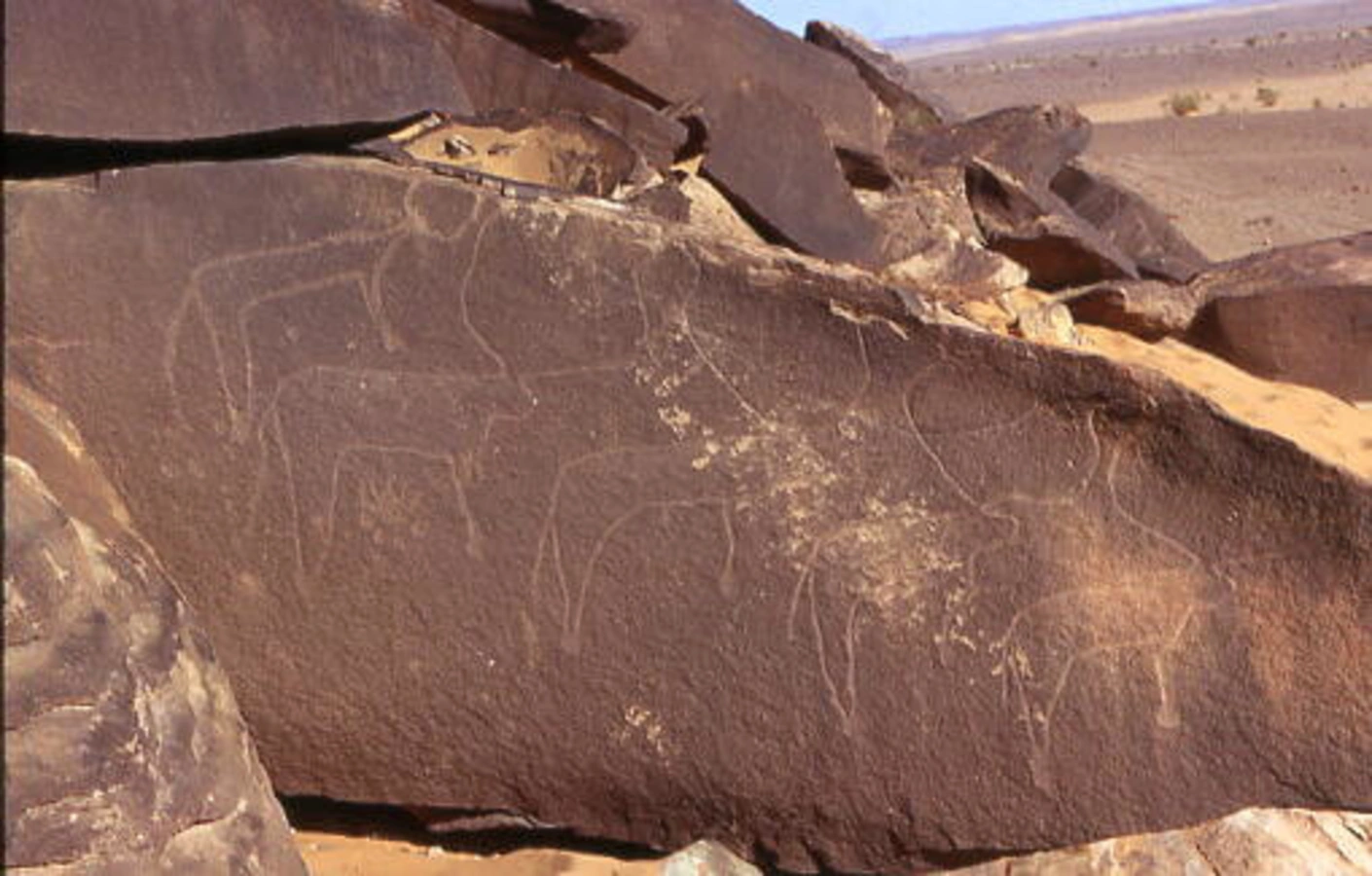 Gravures rupestres de la région de Taghit, Algérie