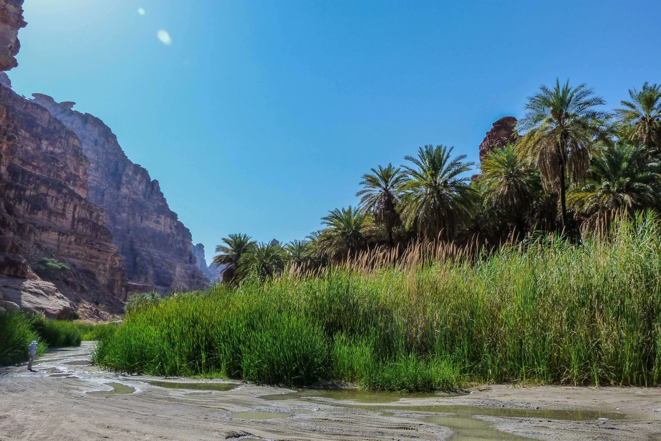 Wadi Qaraqir, Arabie saoudite