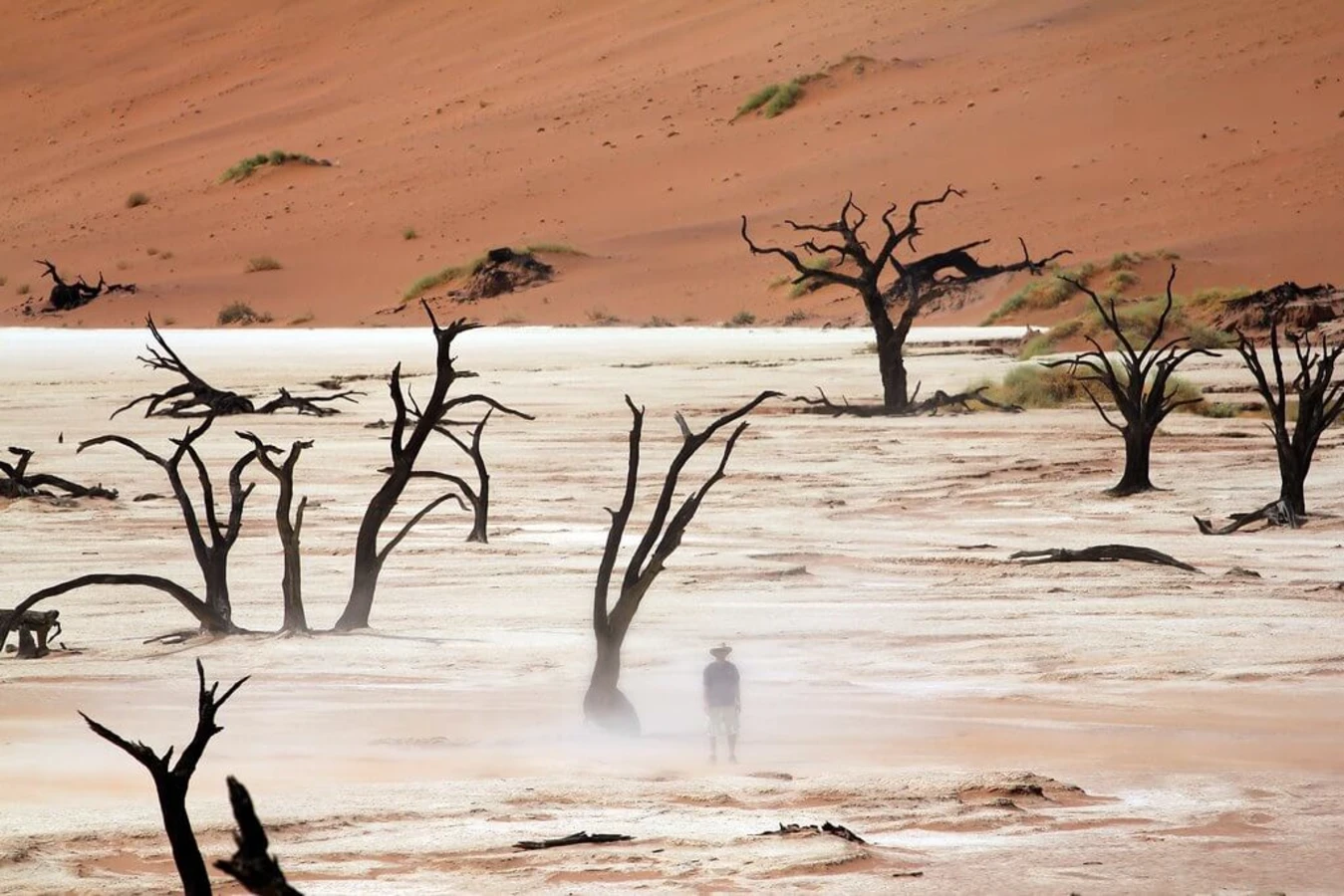 Dead Vlei, Namibie
