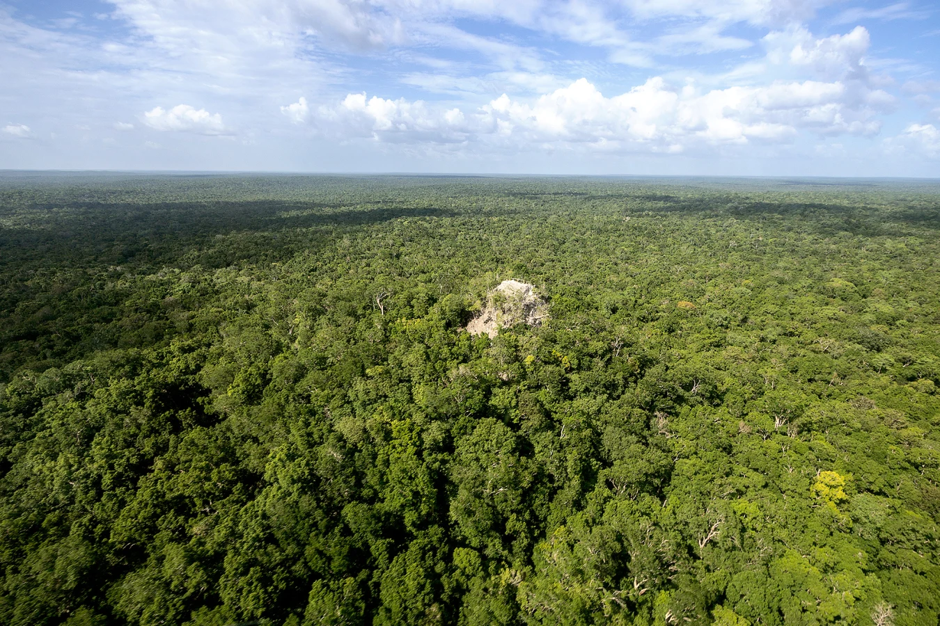 El Mirador, Guatemala