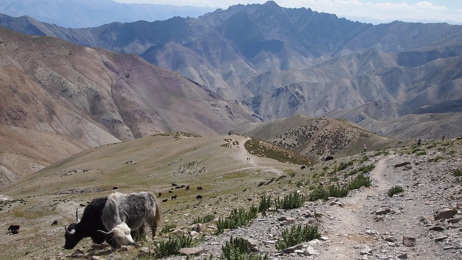 Vallée de la Markha, Inde