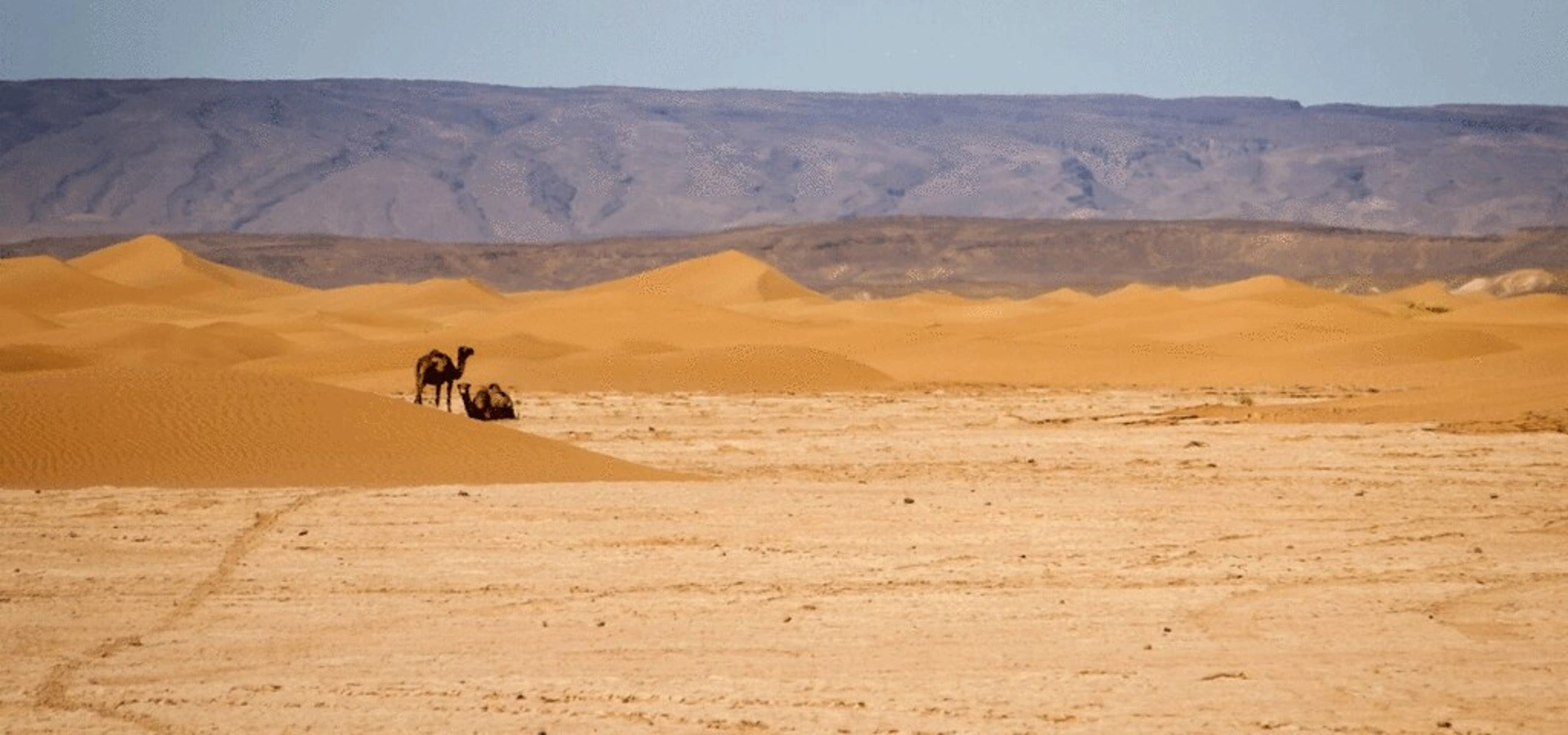Parc national d'Iriqui, Maroc