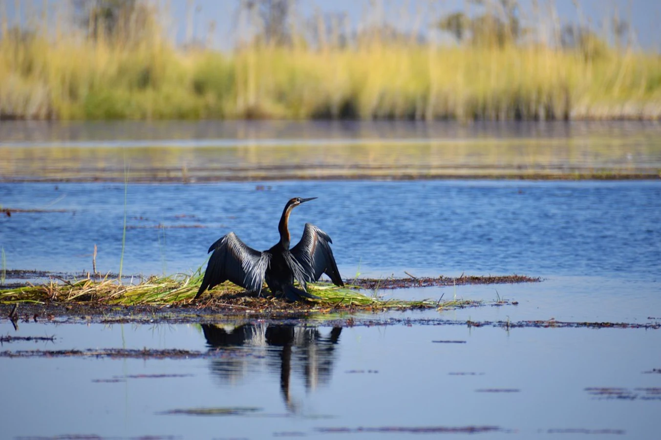 Xakanaxa Lagoon, Botswana