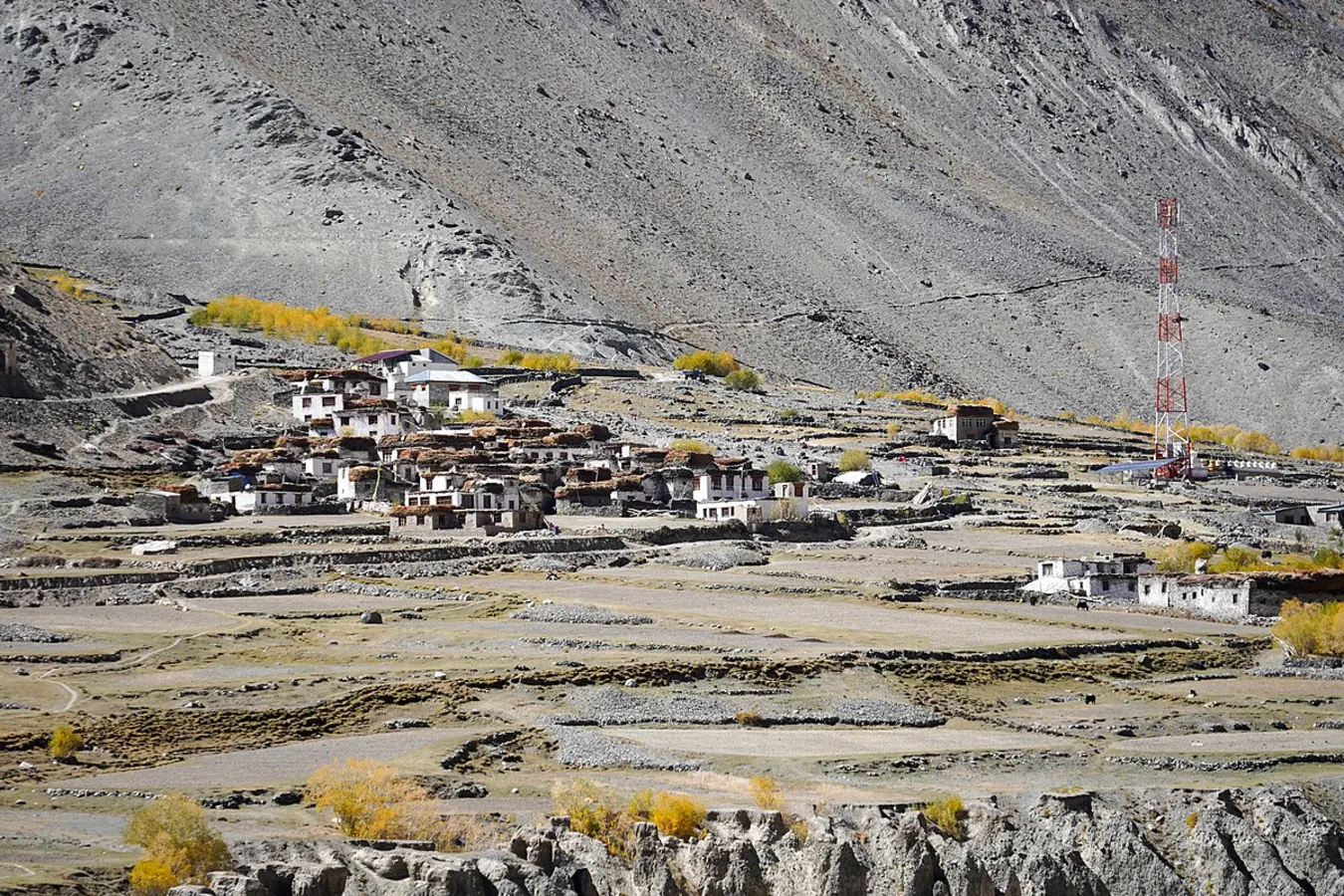 Testa, Inde