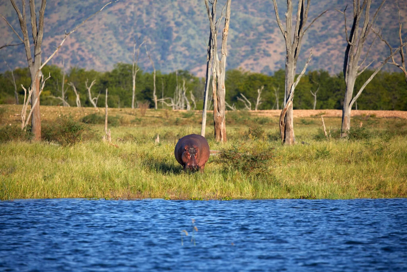 Lac Kariba, Zambie, Zimbabwe, Zimbabwe
