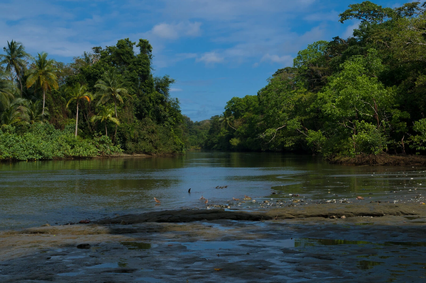 Parc national Corcovado, Costa Rica
