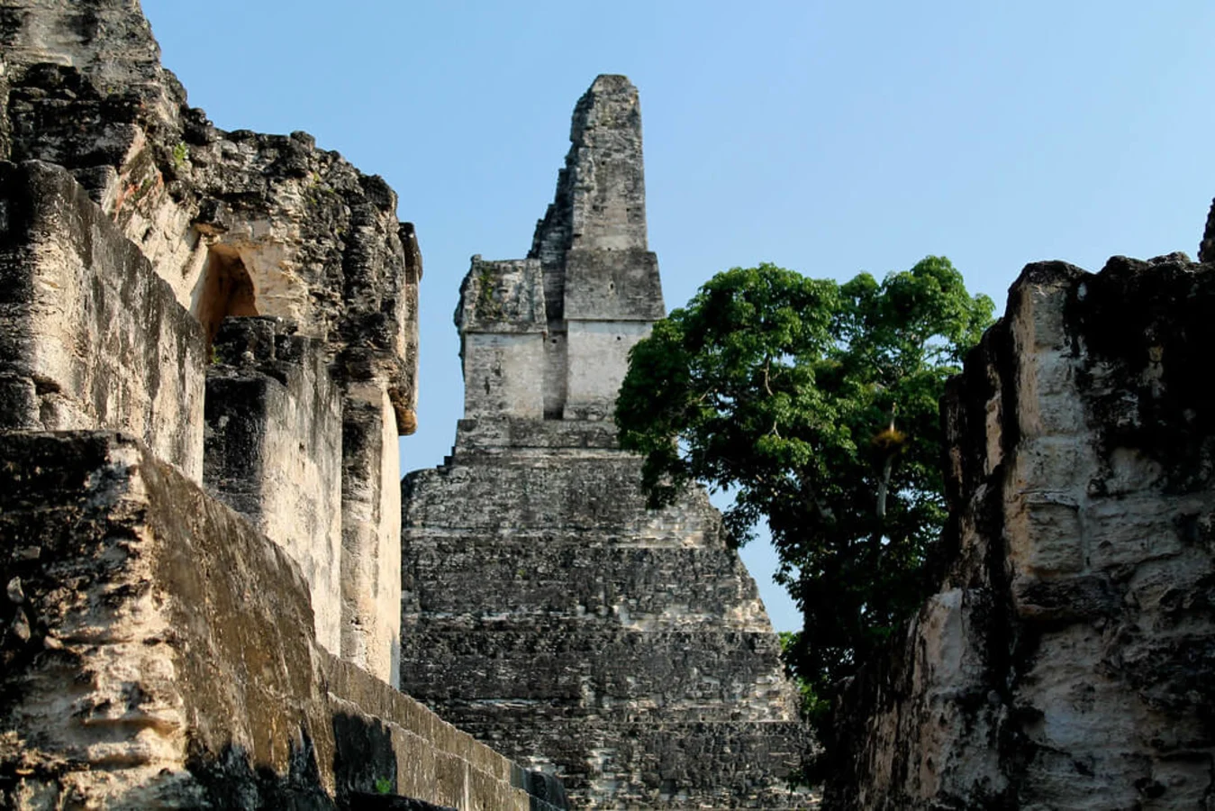 Acropole nord de Tikal, Guatemala