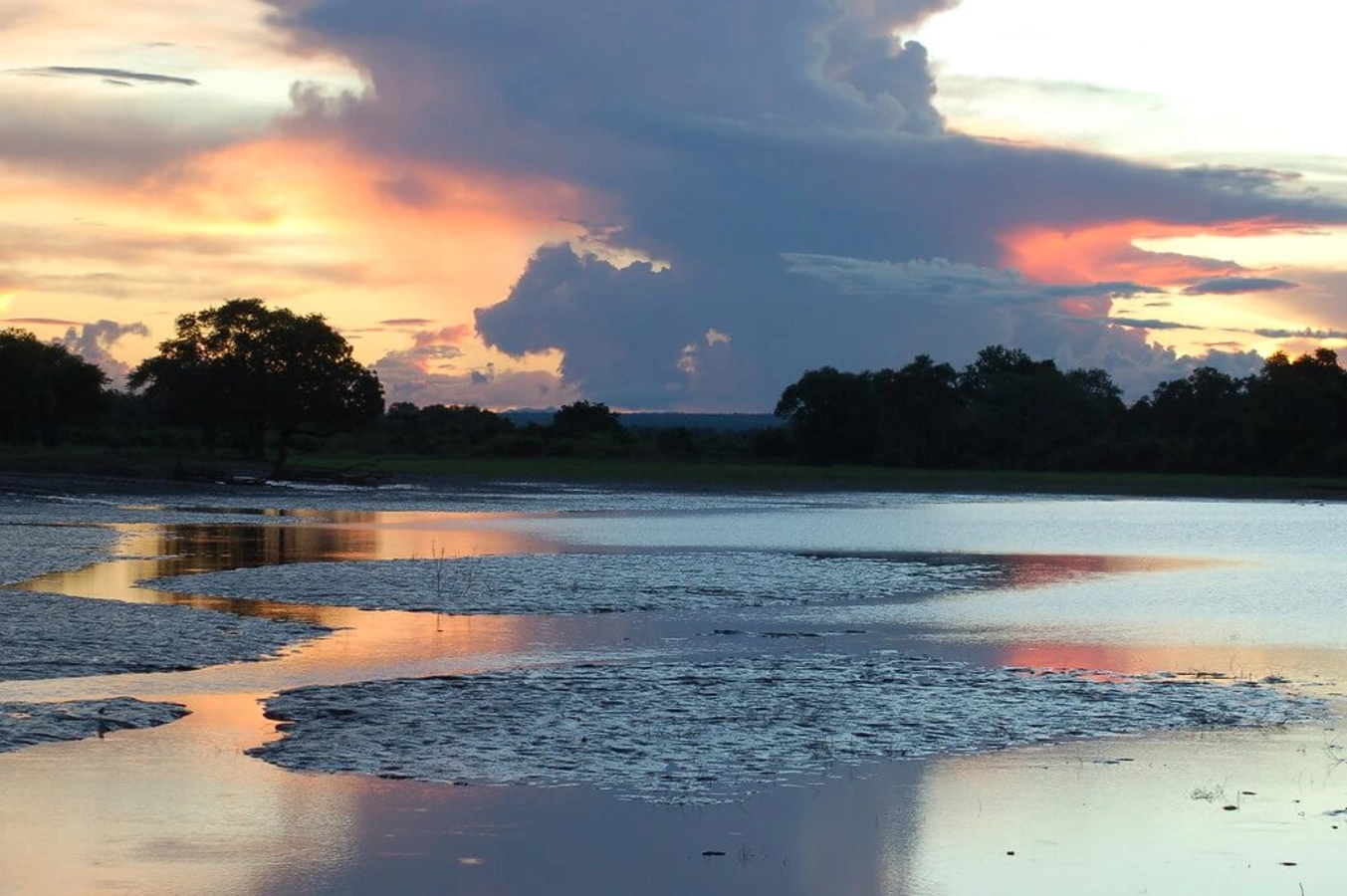 Parc national de Luangwa Sud, Zambie