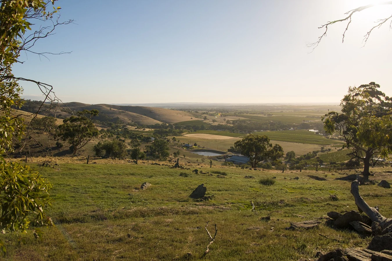 Vallée de la Barossa, Australie