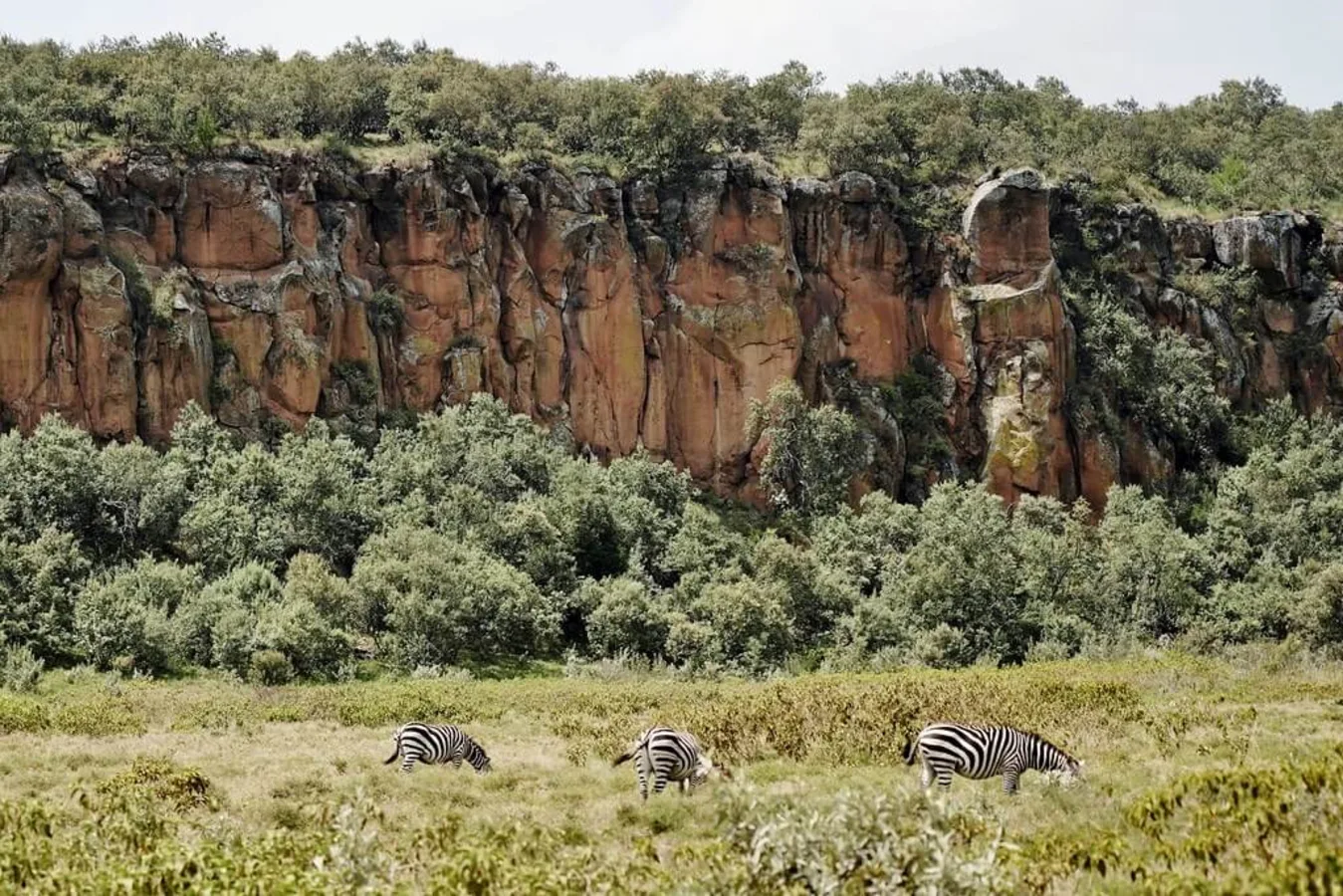 Parc national de Hell's Gate, Kenya