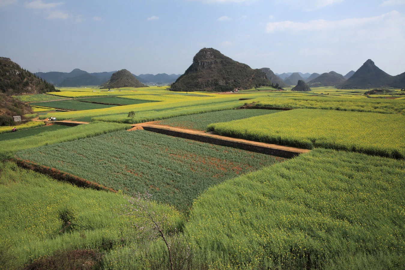 Luoping, Chine