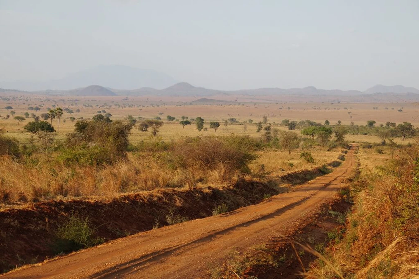 Parc national Kidepo Valley, Ouganda