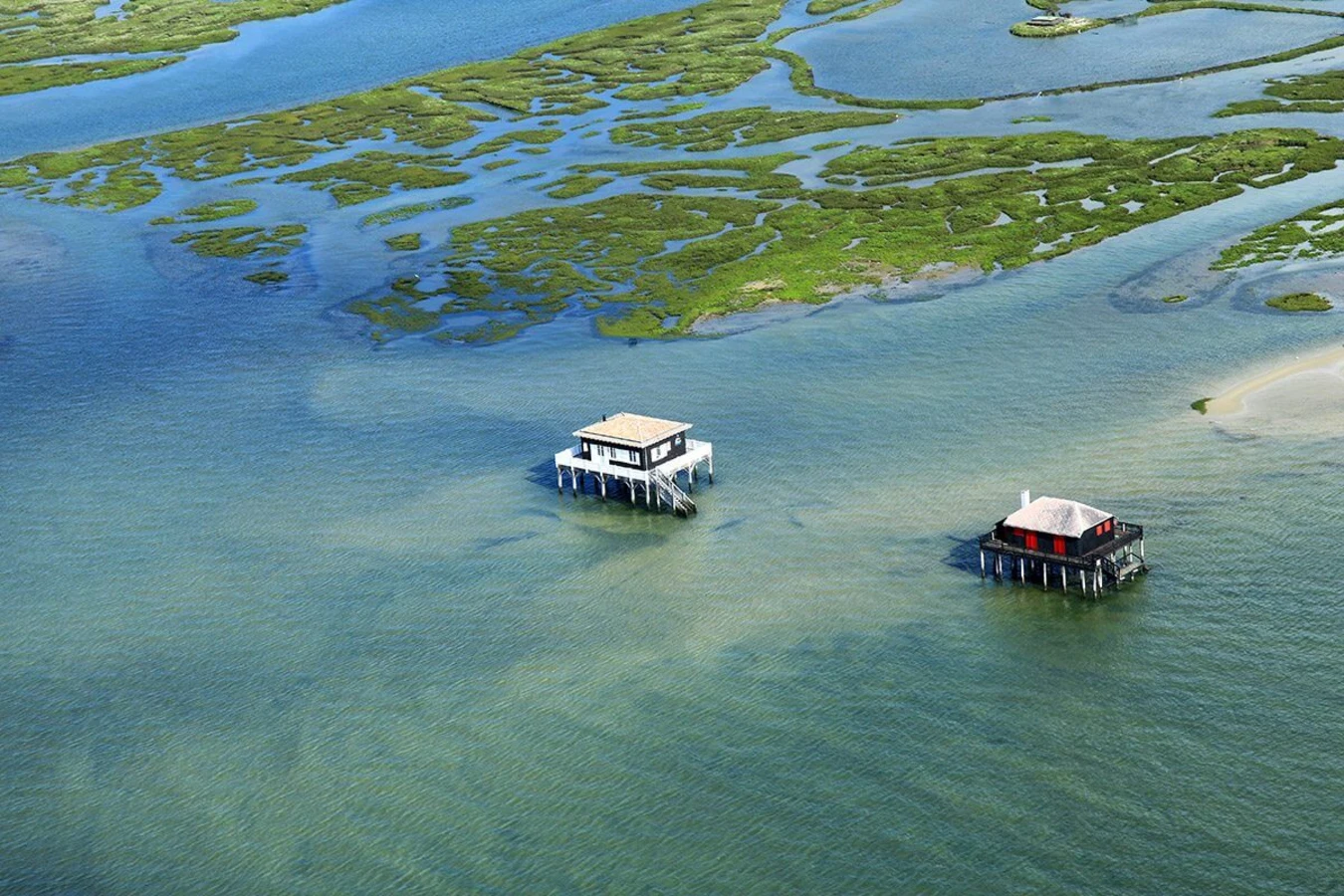 Île aux Oiseaux (Arcachon), France