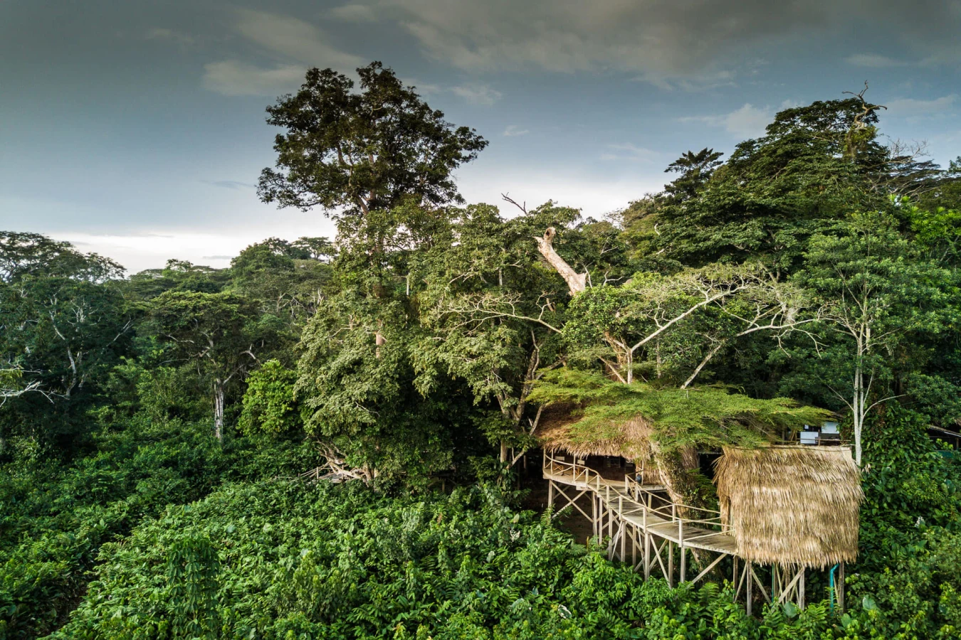 Parc national d'Odzala-Kokoua, République du Congo