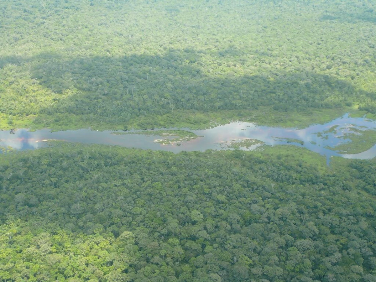 Parc national de la Salonga, République démocratique du Congo